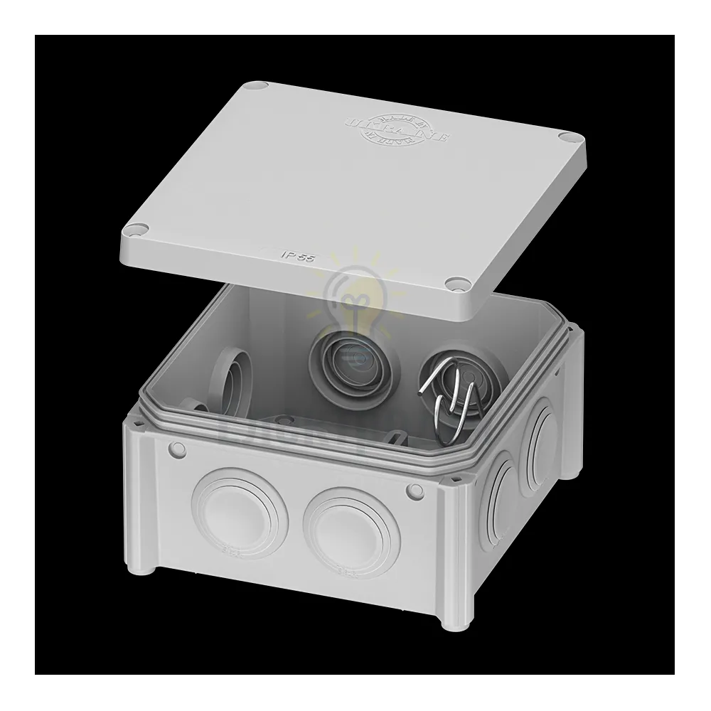 Коробка розподільча IB PLANK Electrotechnic настінного монтажу IP65-100*100*50 IB006 