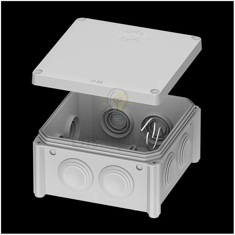 Коробка розподільча IB PLANK Electrotechnic настінного монтажу IP65-100*100*50 IB006 