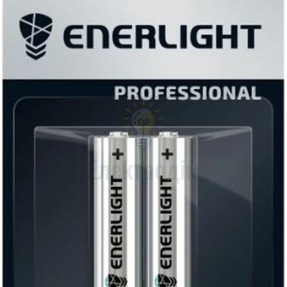 Батарейка Акумулятор Enerlight Professional HR6/AA 2100mAh BLI2 30610102 Enerlight 