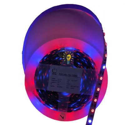 TRIONE FITO IP20 12V - 60 LED - (4 RED+1 BLUE) 5050-60,8W/M 97598 — купити в Електродім